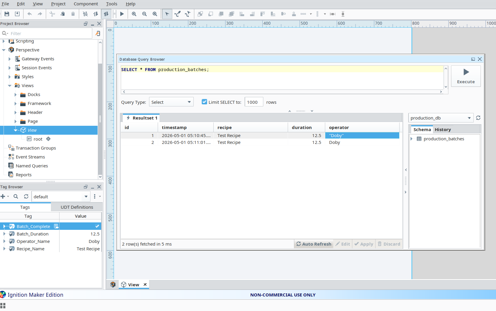 Database Query Results